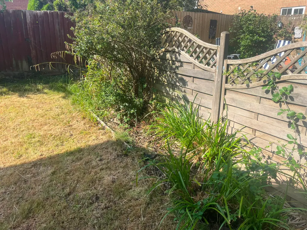 Border clearance — before