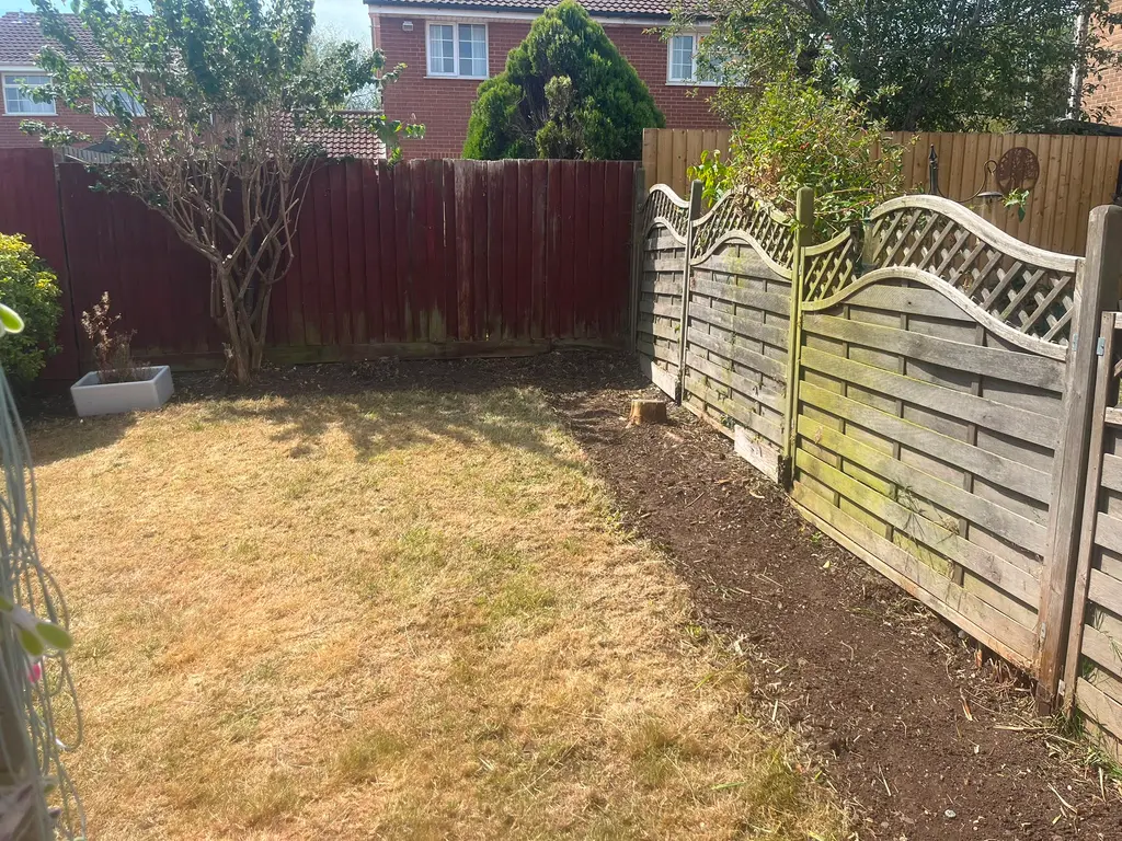 Border clearance — after