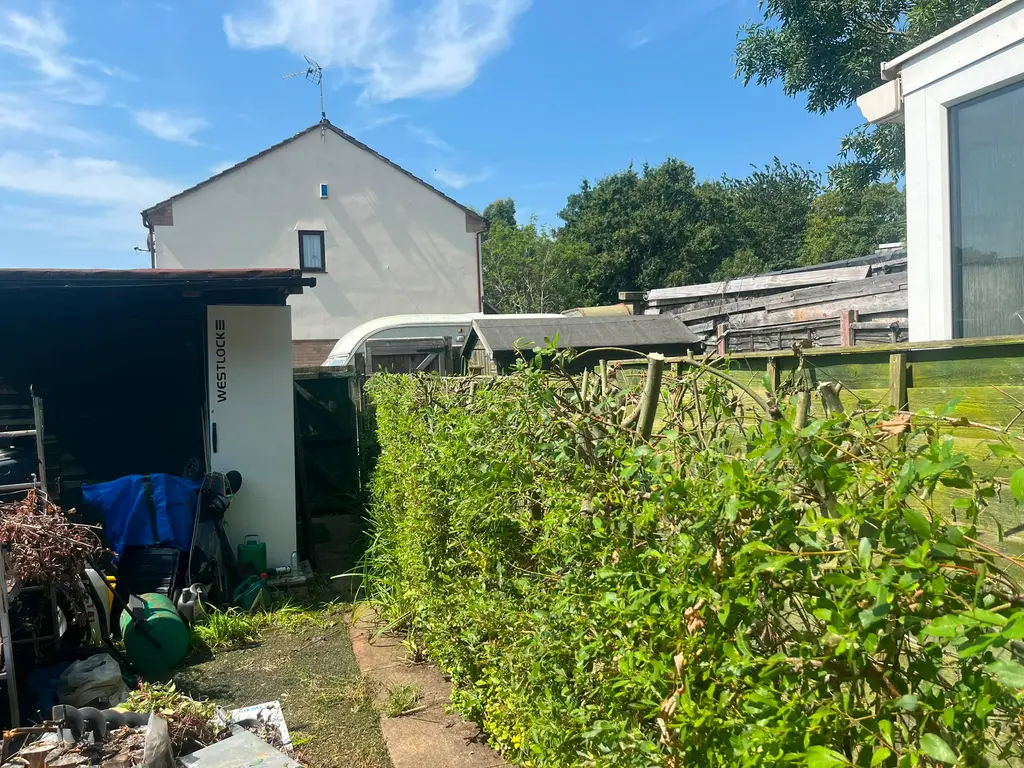 Garden hedge reduction — after