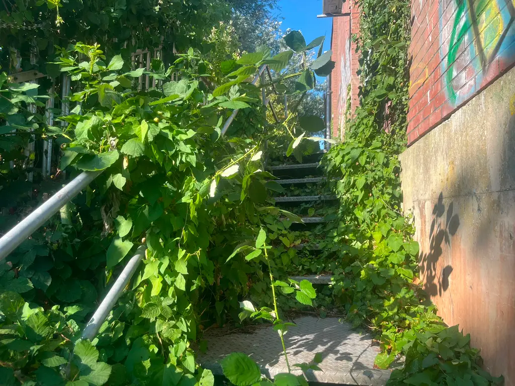 Stairway clearance — before