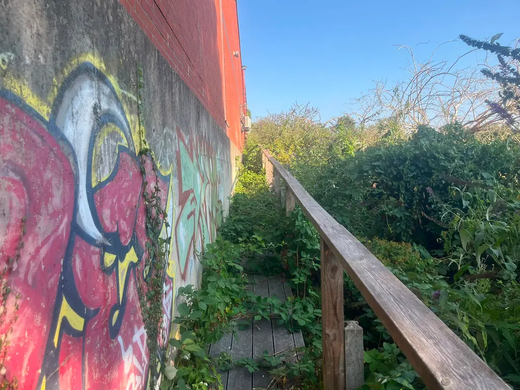 Walkway clearance — before