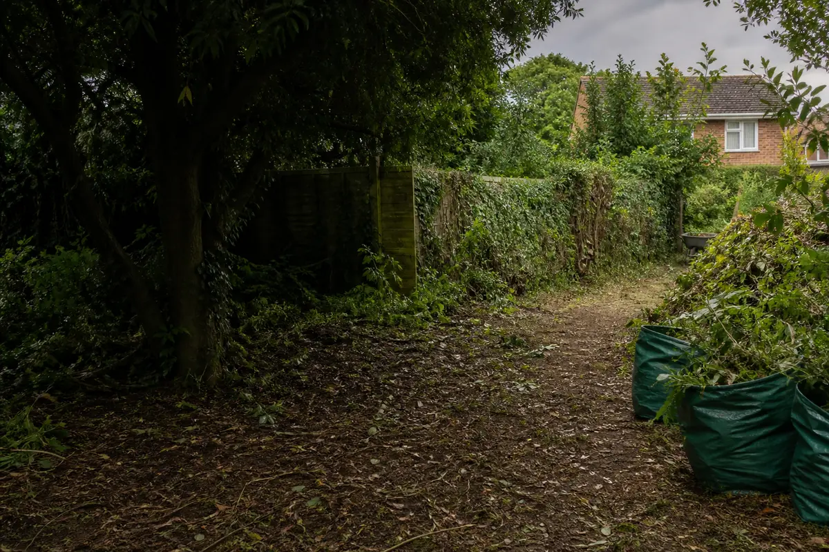 An overgrown garden being cleared beside a residential property